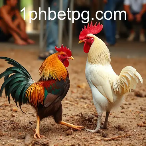 The Exciting World of Sabong Games: A Deep Dive into 1PHBET